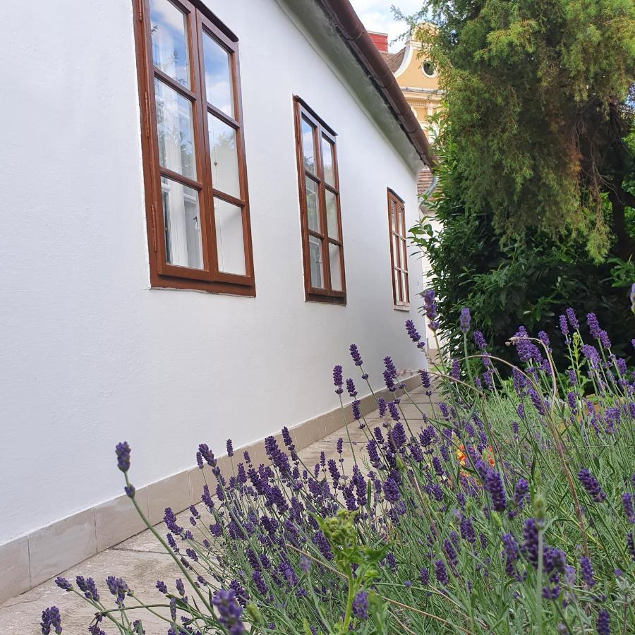 Corte Apartman Pápa Exterior foto